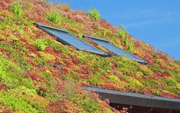 Wylde living roof systems