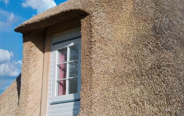 Wylde thatch roof disadvantages