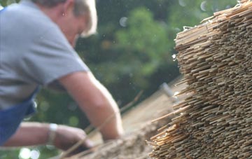 professional Wylde thatchers